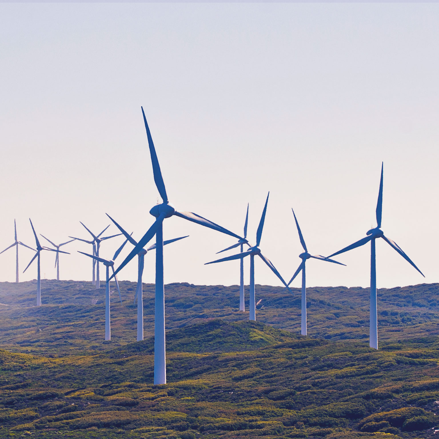 Green energy in New York | McKinsey